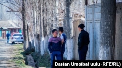 Карантинге илинген Ноокат жана Сузак 
