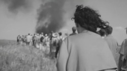 Уривок тизеру документального фільму «Залізні метелики»