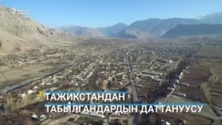 Түркия катаал карантин киргизди