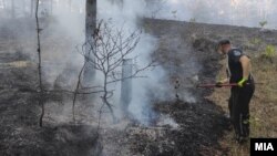 Илустрација, шумски пожар го гасат пожарникари 