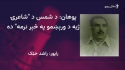 ادیبان وايي د شمس شاعري جدا رنګ لري