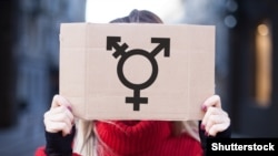 Иллюстрациялык сүрөт.