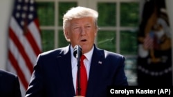 دونالد ترمپ رئیس جمهور امریکا در حال اعلام موضع‌گیری در برابر طالبان