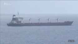 Украина: дан жүктөгөн алгачкы кеме Түркияга жетти 