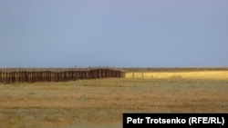 Окумуштуулар куланды кайра жайылтып жаткан КБСА реинтродукция борбору. Костанай облусу, 2022-жыл, 19-июнь