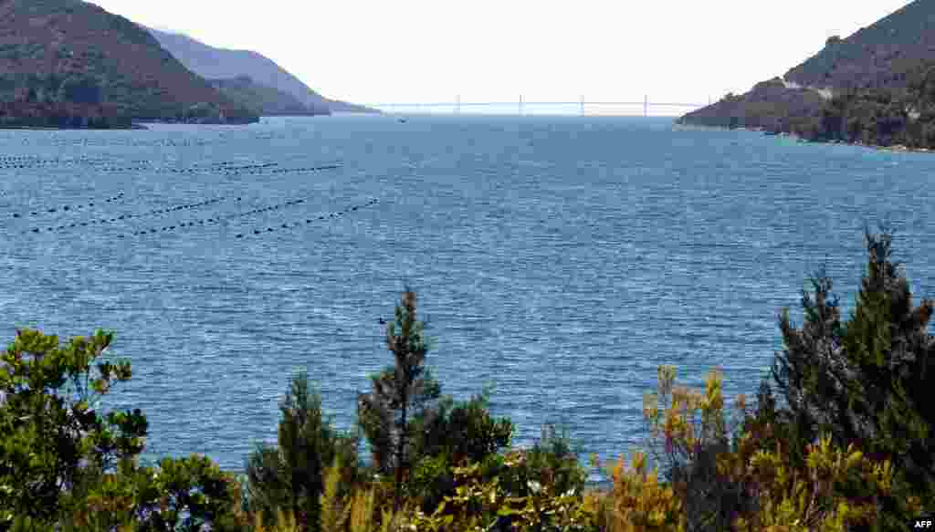 Izgradnja mosta stajala je 402 milijuna eura, od čega je 357 milijuna eura (85 posto) bilo bespovratnih sredstava Europske unije.