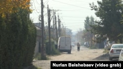 Көк-Жар конушу. 