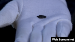 Протомонета времен Керкинитиды (или Каркинитиды) – древнегреческого города-государства, основанного на территории современной Евпатории в Крыму. Монета была подношением богу Аполлону