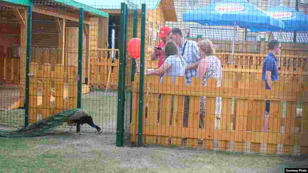 "Татар утары" янәшәсендә кечерәк зоопарк
