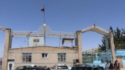 گمرک ولایت هرات