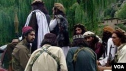 شماری از طالبان پاکستانی 