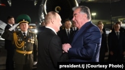 Эмамалі Рахмон сустракае Ўладзіміра Пуціна каля самалёта ў Душанбэ
