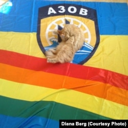 Два прапори і кішка Діани Берг