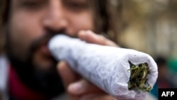 Дүйнөдөгү эң чоң марихуана тамекиси, Сантьяго, Чили, 18-май 2013-ж.