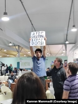 Mammadlijev protest 15. novembra tokom kojeg je izjavio: "Azerbajdžanske vlasti pucaju u pse na ulici. Azerbajdžanska diktatura vrši masakre nad uličnim psima lutalicama".