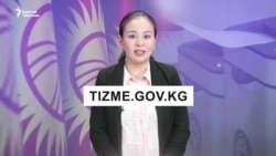 Чет жердеги кыргыз жарандары кантип добуш берет?