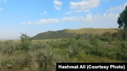 آتش‌بس حکومت طالبان و پاکستان