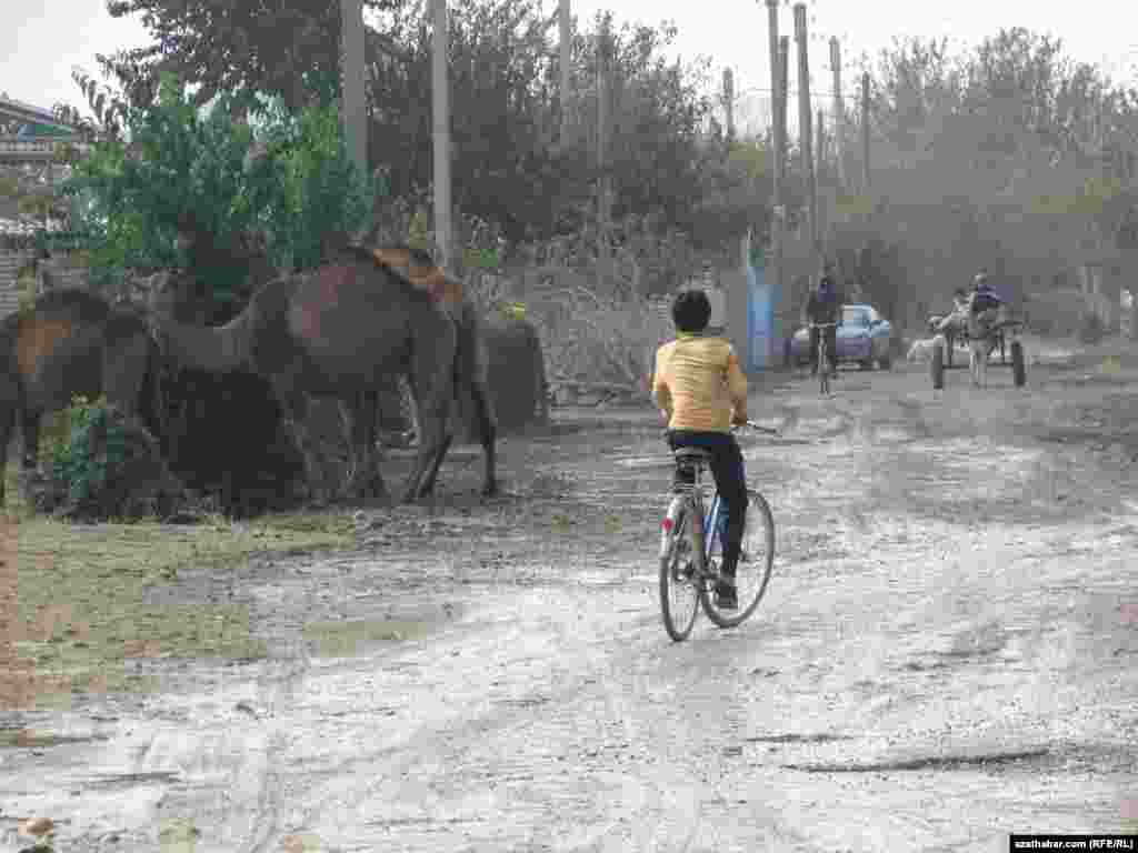 Türkmengala, "Täze oba" daýhan birleşigi: Adaty sahna..