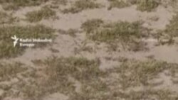 Ukrajina jača proizvodnju dronova, tvrdi da je na nebu jednaka Rusiji