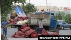 Haly günüe taýýarlyk