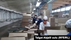 Иллюстрациялык сүрөт. 