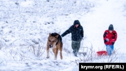 Иллюстрациялык сүрөт.