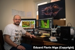 Niga își face cea mai mare parte a muncii în studioul său din Londra.