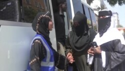 له شګو تر ساحله: صومالیا کورنۍ سيلګرۍ ته څه ډول وده ورکوي؟
