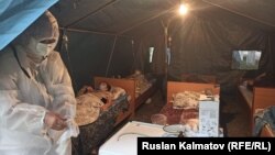 Иллюстрациялык сүрөт.