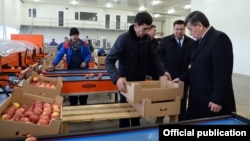 Президент Сооронбай Жээнбеков “Агропродукт Азия” соода-логистикалык борборуна барган учуру.  2019-жылдын январь айы.