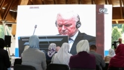 Porodice žrtava o doživotnoj kazni za Ratka Mladića