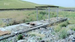 В Душанбе за один месяц убито 365 бездомных собак