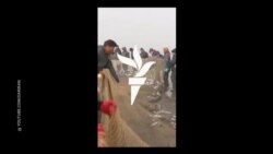 په ایران کې کب نیوونکي ولې اوس زیات ماهیان نیسي؟