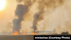 Узгараньне сухой травы ў Беларусі ў скавіку 2025 году. Ілюстрацыйнае фота