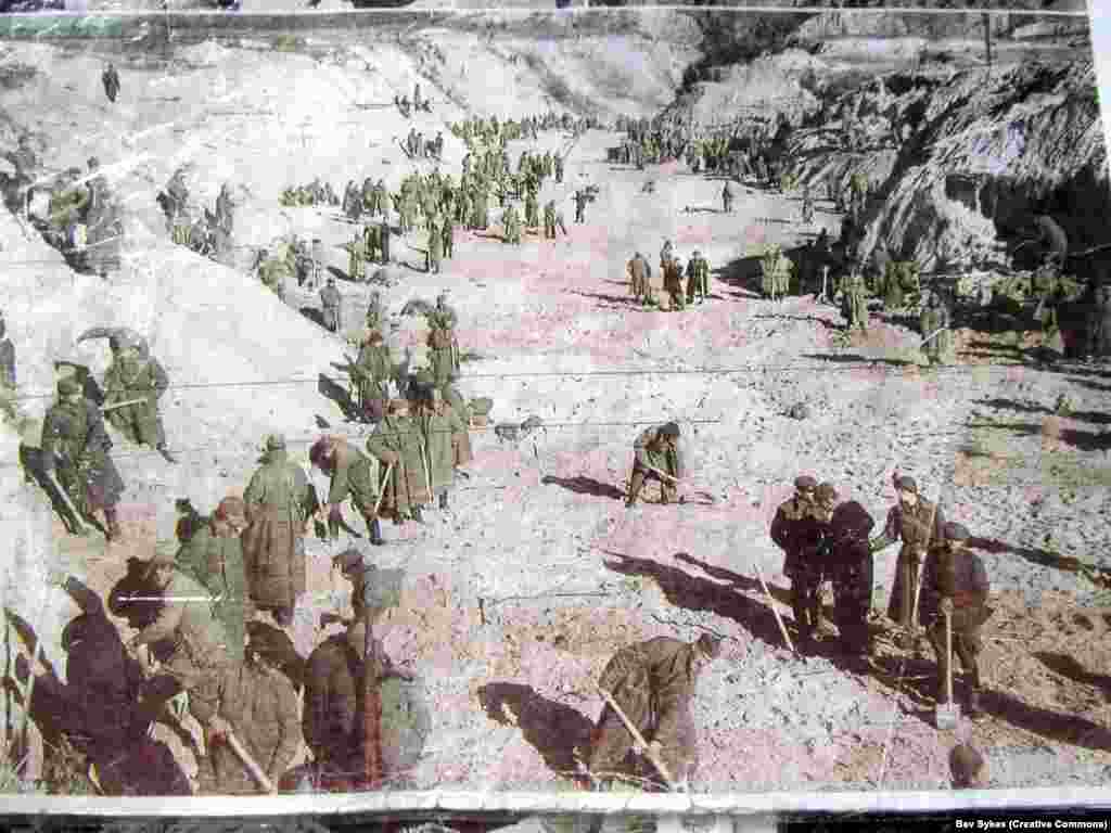 Soviet prisoners of war in the ravine after the massacre. Babyn Yar continued to be used by the Nazis as a killing site for Soviet POWs, Roma, and other "undesirables."&nbsp;