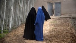 تر ټولو غټ تشدد جينکۍ له تعليمه بې برخې ساتل دي