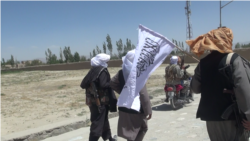 شماری از جنگجویان گروه طالبان