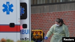 Иллюстрациялык сүрөт.