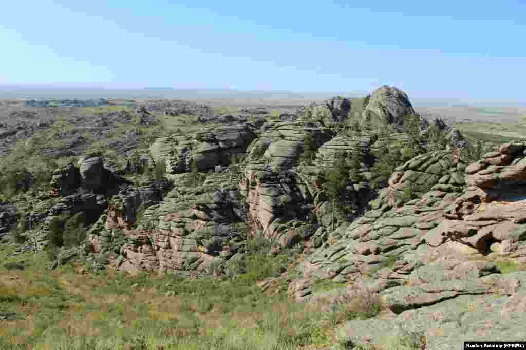 Местные жители называют "плодородными" даже камни в Баянаульском национальном парке. Здесь часто можно встретить пробивающиеся через каменные породы деревья.