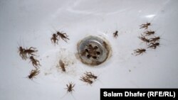 Илустрација.