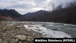 Localnici și ONG-uri spun că debitul râului Bâsca Mare ar putea ajunge aproape de secare, temere contrazisă însă de Ministerul Mediului.