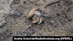 Хвостовик міни біля позицій українських військових біля Мар'їнки. 2 грудня 2017 року