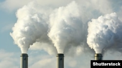 Ukoliko si u rupi, prvo što treba da uradiš je da prestaneš da iskopavaš, kaže Trout.