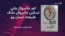 انور مانېروال وايي تسکین مانېروال شاعرۍ کې نوې تجربې کړې دی