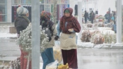  Aýazly howanyň netijeleri: Maldarlar we daýhanlar uly ýitgi çekendiklerini aýdýarlar