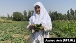 65 жаштагы Галатмо Алиева өзү өстүргөн бадыраңдар.