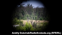 Вигляд на предові позиції проросійських бойовиків з бліндажу українських військових під Мар'їнкою