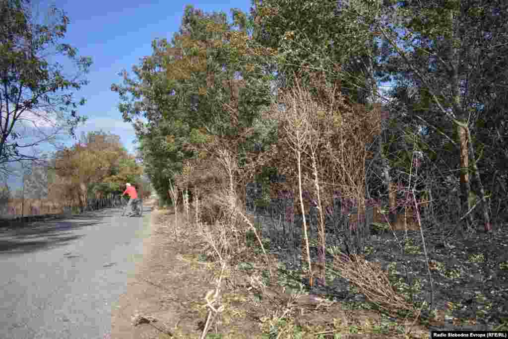 Последиците од пожарот на преспаснкото крајбрежје во Долно Перово и Езерани 