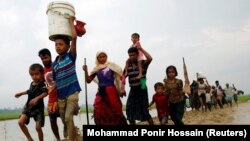 Рохинжа качкындары Бангладештин чек арасына өткөн учур. 3-сентябрь, 2017-жыл.