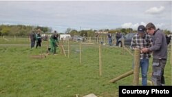 Уэльс жаш фермерлер клубу